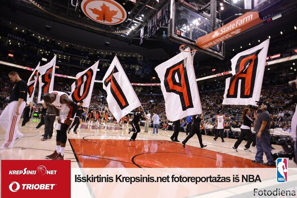 Raptors