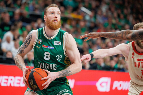 Brazdeikis