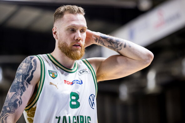 Brazdeikis