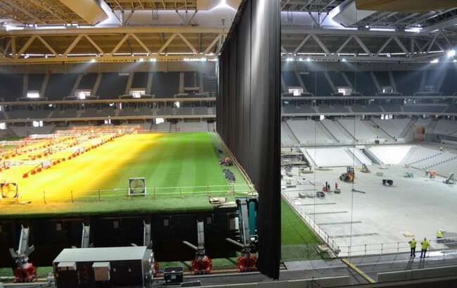 Lilio arena