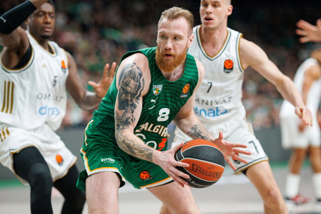 Brazdeikis