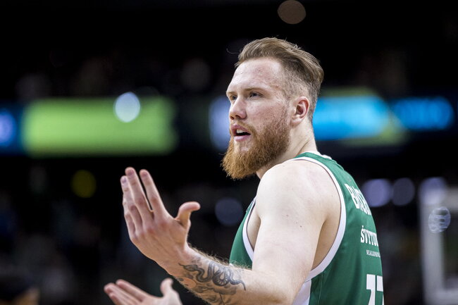 Brazdeikis