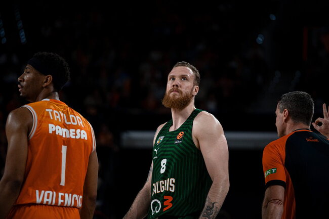 Brazdeikis