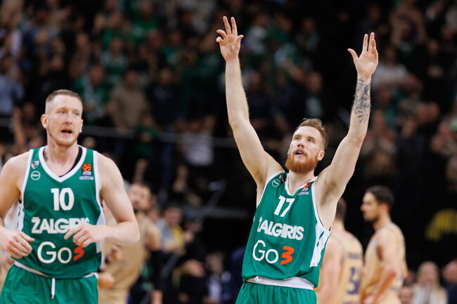 Brazdeikis