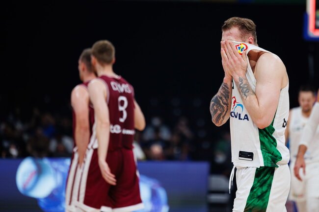 Brazdeikis