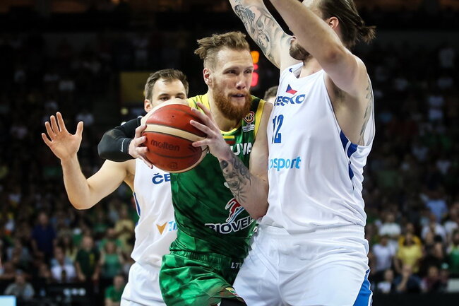Brazdeikis