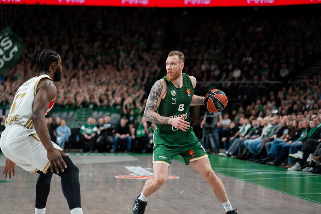 Brazdeikis