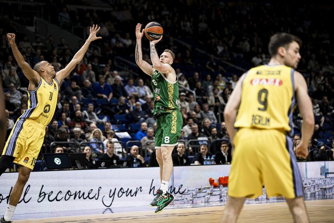 Brazdeikis