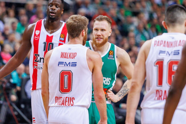 Brazdeikis