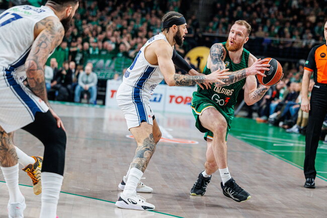 Brazdeikis