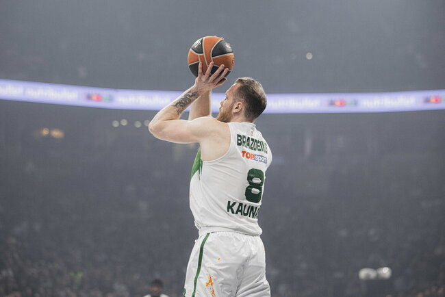 Brazdeikis