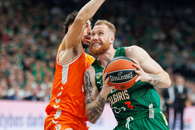 Brazdeikis