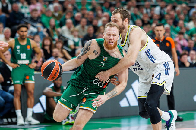 Brazdeikis