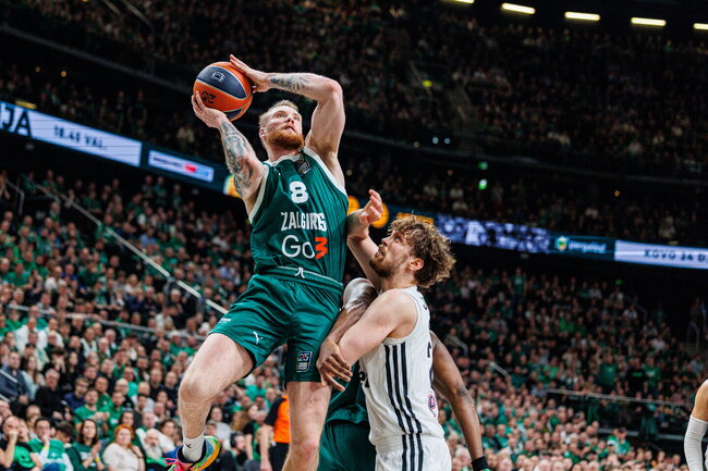 Brazdeikis