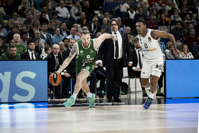 Brazdeikis