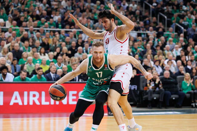 Brazdeikis