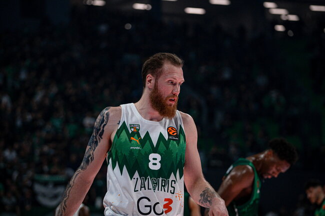 Brazdeikis