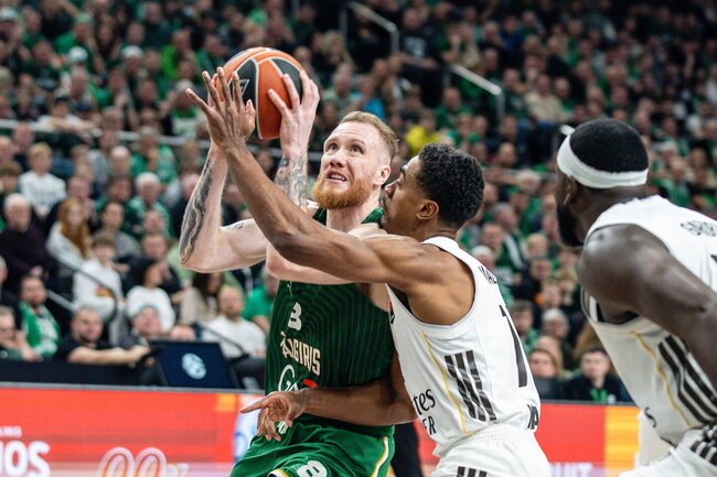 Brazdeikis