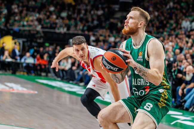Brazdeikis