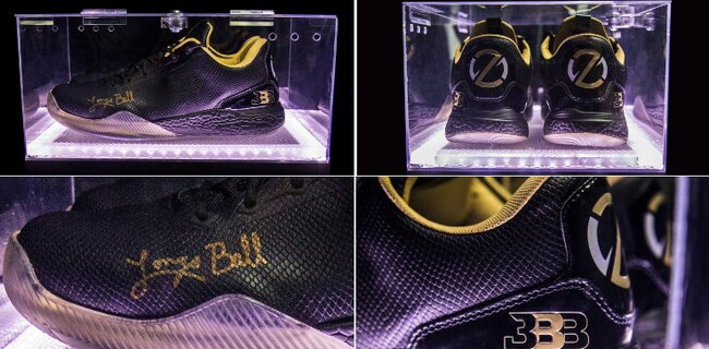ZO2 Wet