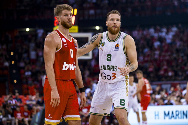 Brazdeikis