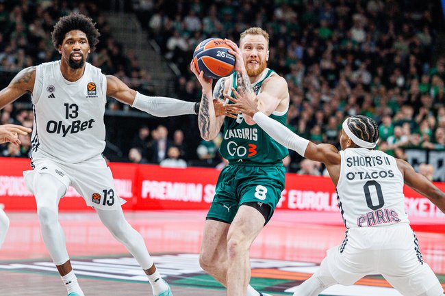 Brazdeikis