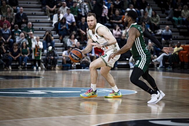 Brazdeikis