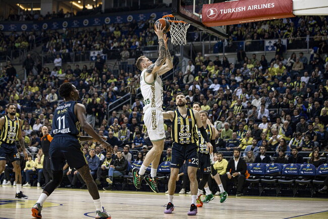 Brazdeikis