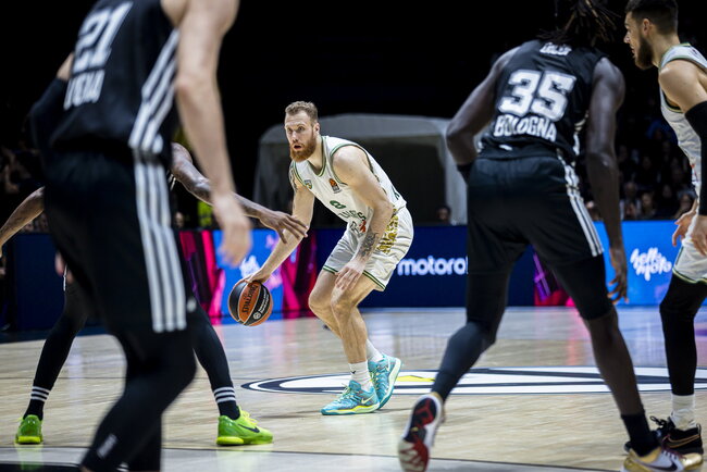 Brazdeikis