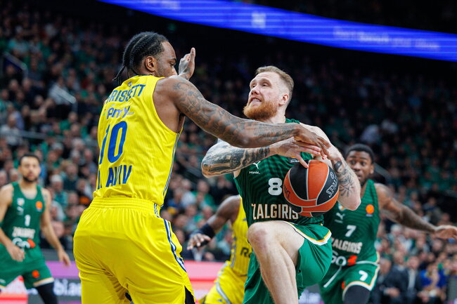 Brazdeikis