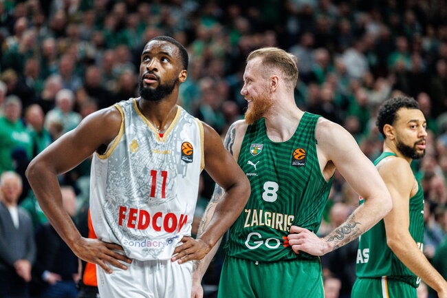Brazdeikis
