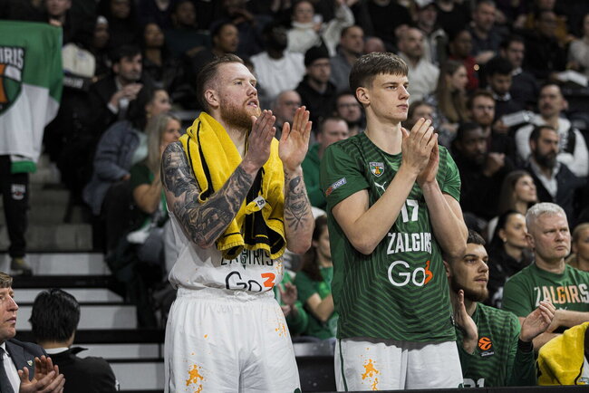 Brazdeikis