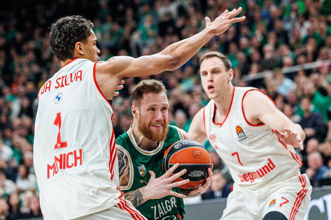 Brazdeikis