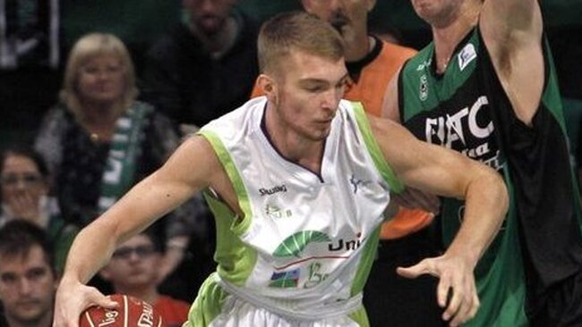 D.Sabonis pasižymėjo efektingu dėjimu (Scanpix)