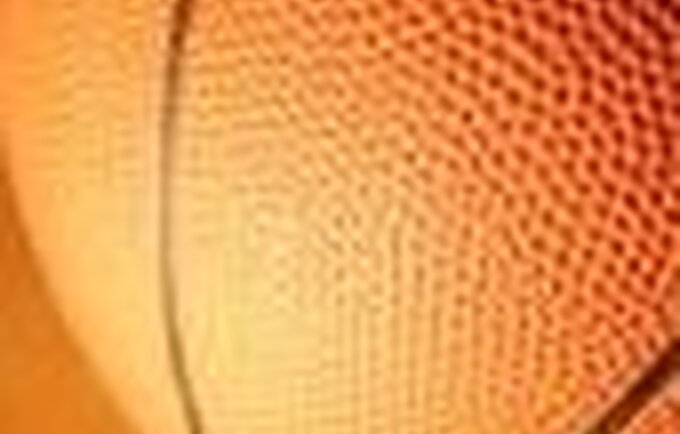basketball kamuolys Krepsinis.net
