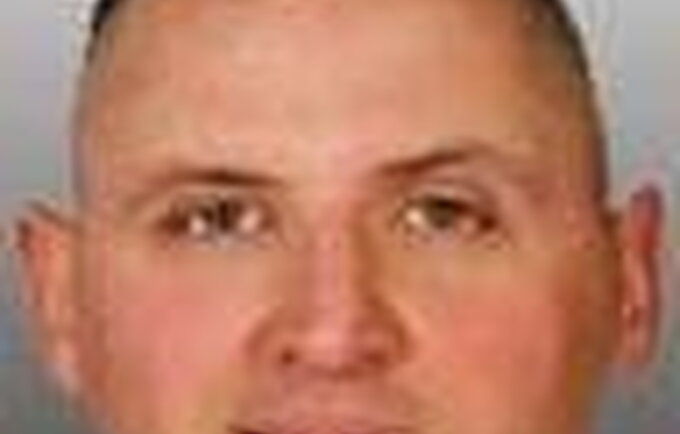 ostertag greg
