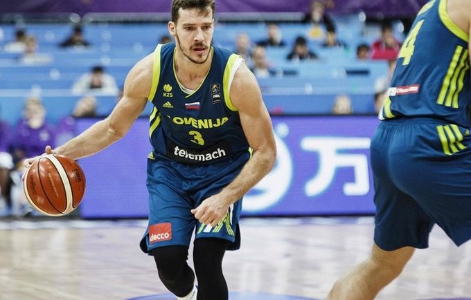 G.Dragičius vedė slovėnus į priekį (FIBA Europe nuotr.)