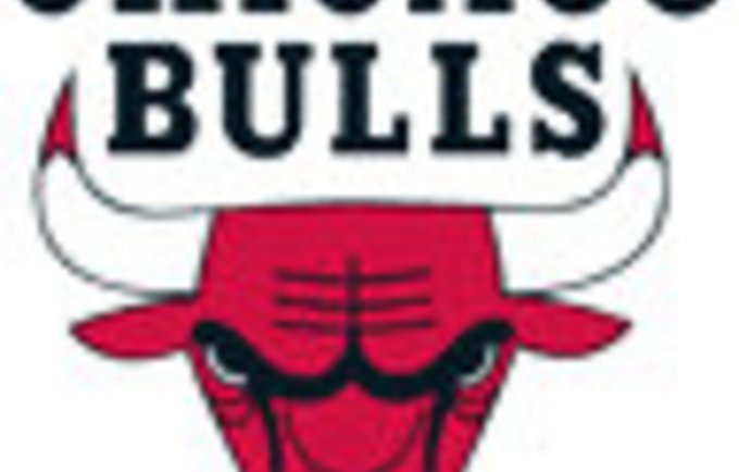 bulls logo 08