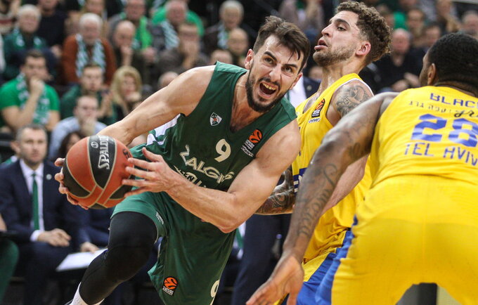 „Žalgirio“ – „Maccabi“ mačo skaičiai: kilimas, D.Waltono išskirtinumas, L.Westermanno karjeros skaičiai ir stulbinantis lankomumas