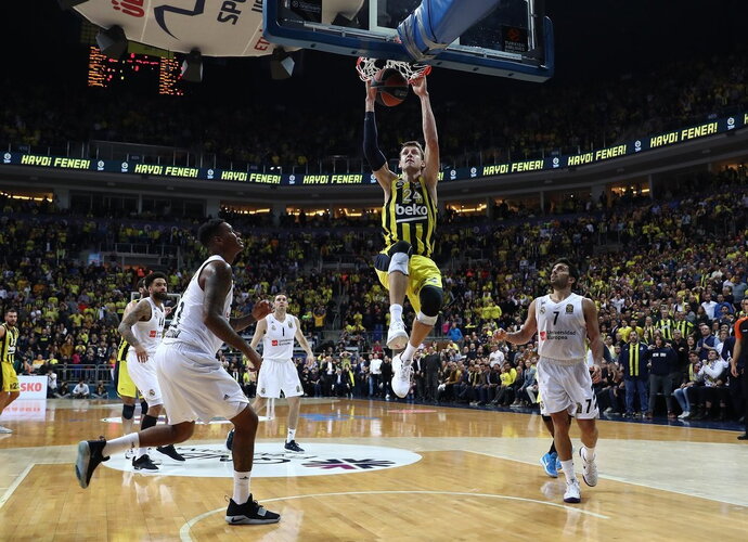 J.Vesely teisinosi sirgaliams
