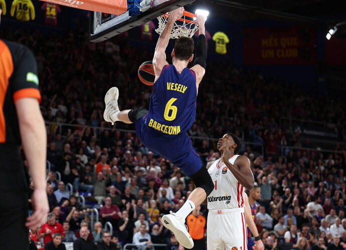 J.Vesely baigia karjerą (Scanpix nuotr.)
