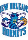 hornets logo naujas 08