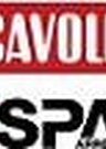 scavolini Spar