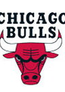 bulls logo 08