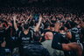 „Partizan“ sirgaliai rodė nederamą elgesį