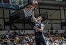 D.Krestininas žais Austrijoje (FIBA Europe nuotr.)