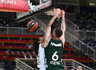 G.Papagiannis sužaidė karjeros mačą (Scanpix nuotr.)