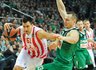 Bjelica (Žygimantas Gedvila, Fotodiena.lt)