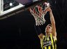J.Vesely lieka Stambule (Scanpix nuotr.)