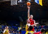 M.Echodas baudos aikštelėje atrodė solidžiai (FIBA Europe nuotr.)